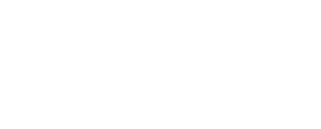 strategic management partners